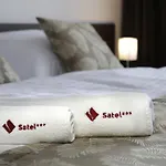Satel