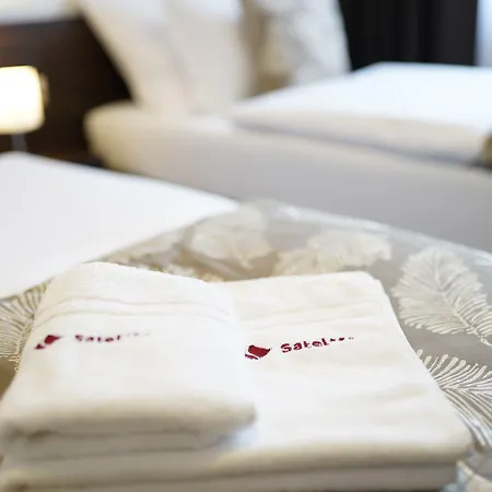 Satel Hotel 3*